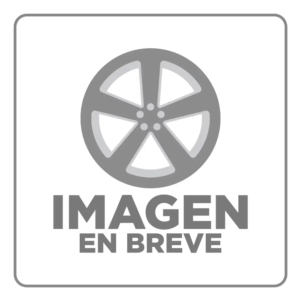 Bonificación especial